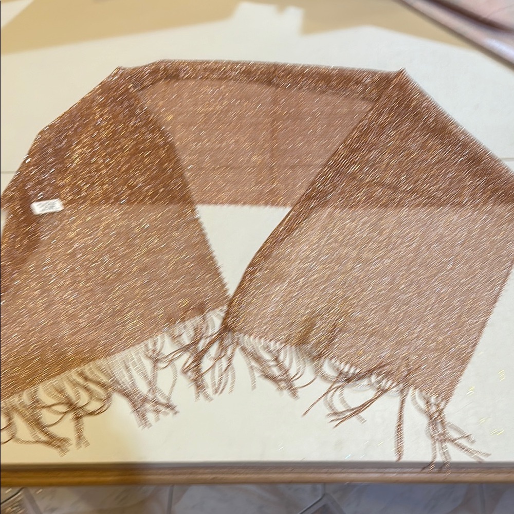 Elegant Brown Scarf